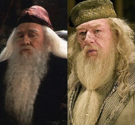 how old is dumbledore in harry potter 1 - Bille Brousse