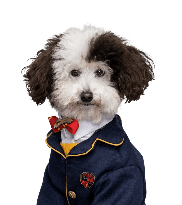 CategoryCharacters Pup Academy Wiki Fandom
