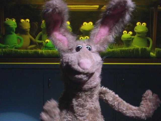 Jack Rabbit (Muppet) Puppet Wikia FANDOM powered by Wikia