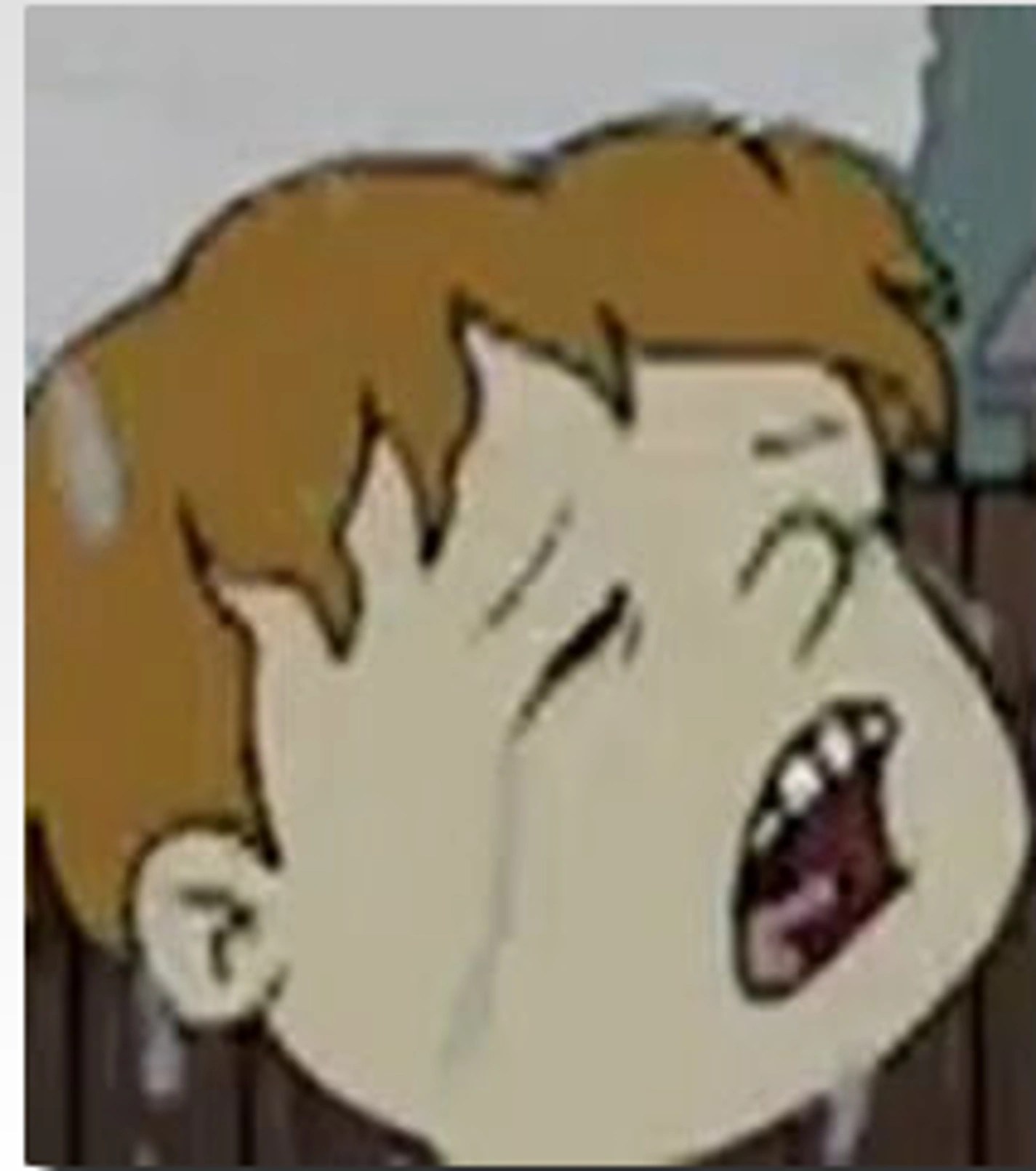 He is voiced by e.g. Crying Kid (character) | Rugrats Wiki | Fandom