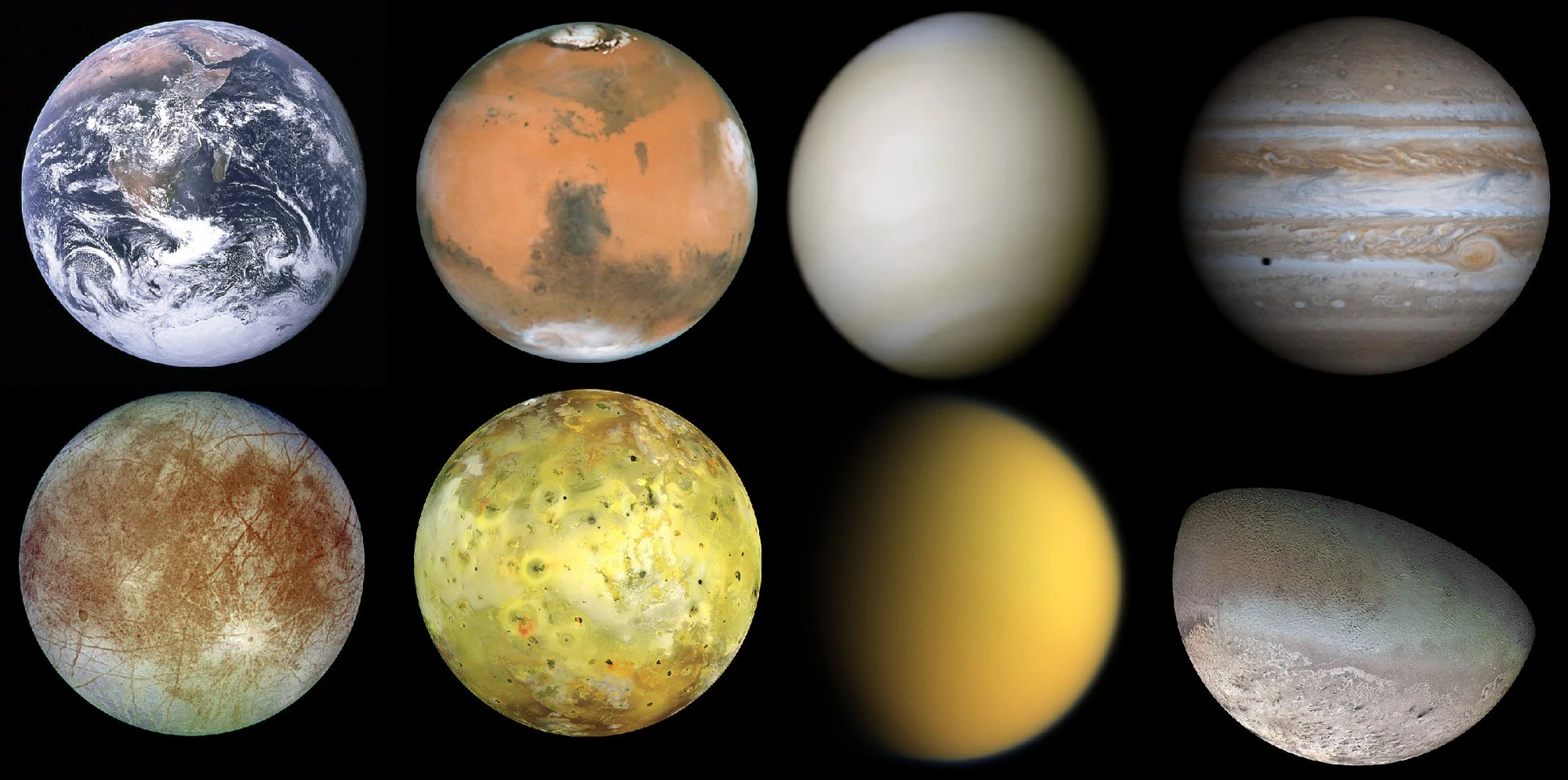 models Speculative Evolution Wiki FANDOM powered by Wikia