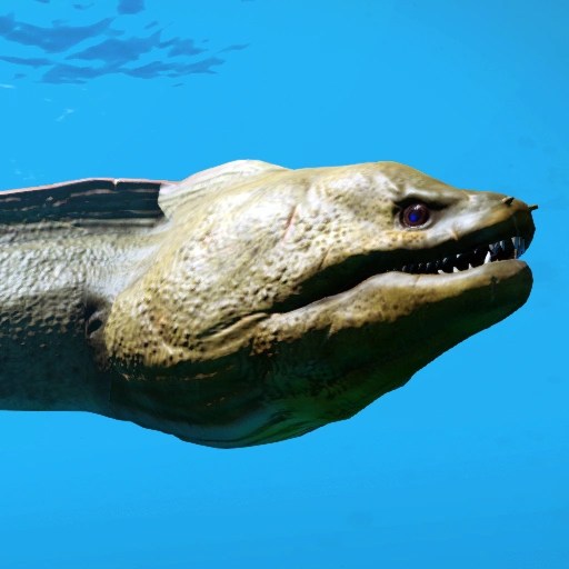 Moray Eel Stranded Deep Wiki FANDOM powered by Wikia