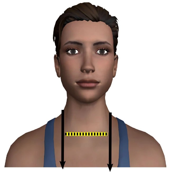 Neck Width (measurement) Patternmaking and Tailoring Wiki FANDOM