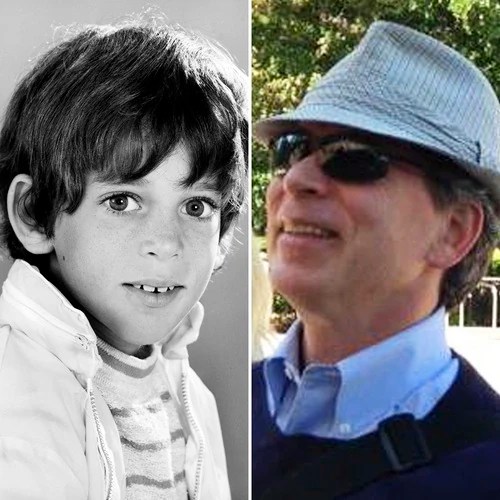 Jeremy Gelbwaks The Partridge Family Wikia FANDOM powered by Wikia