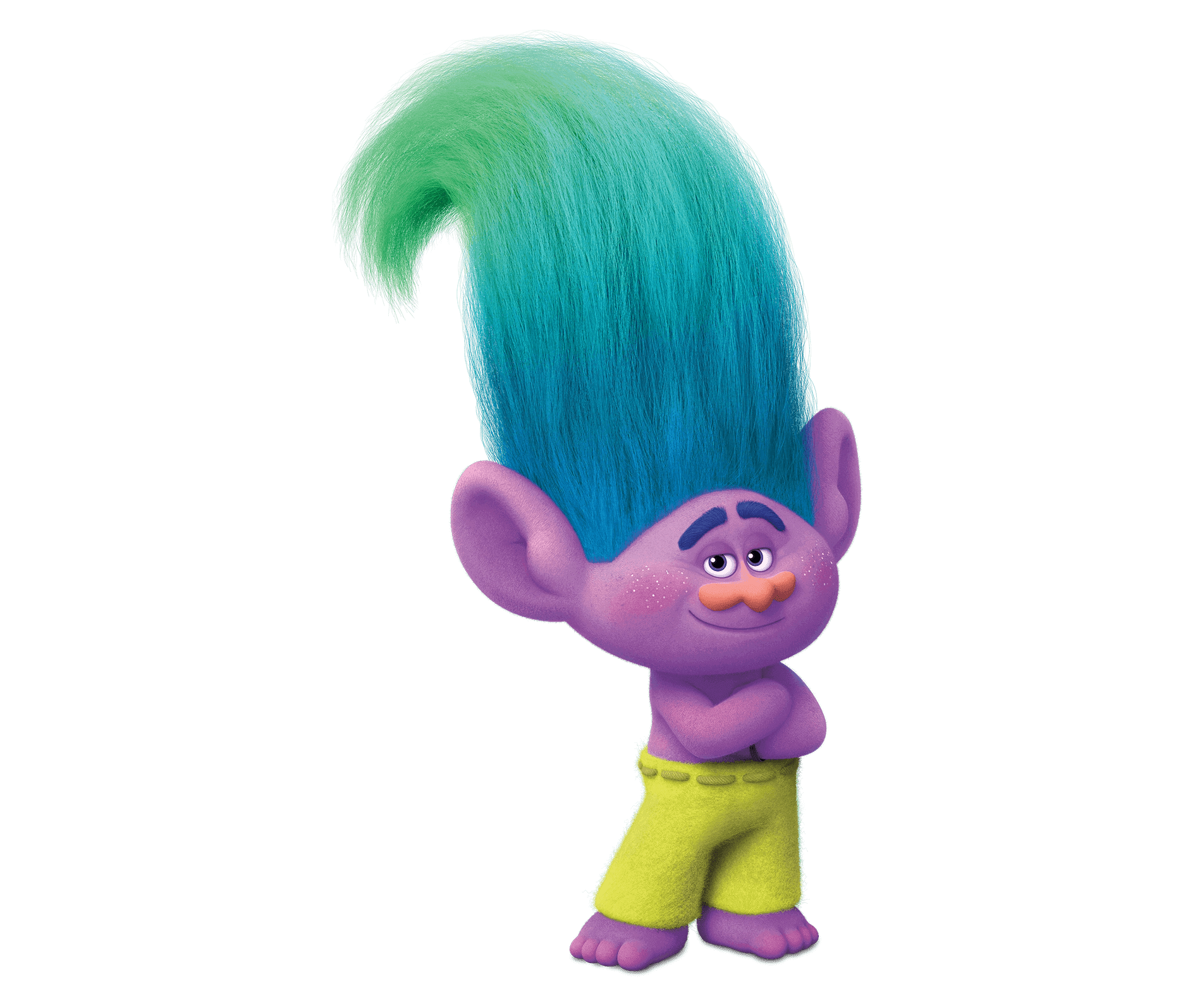Guru Trolls Trolls (film) Wikia Fandom