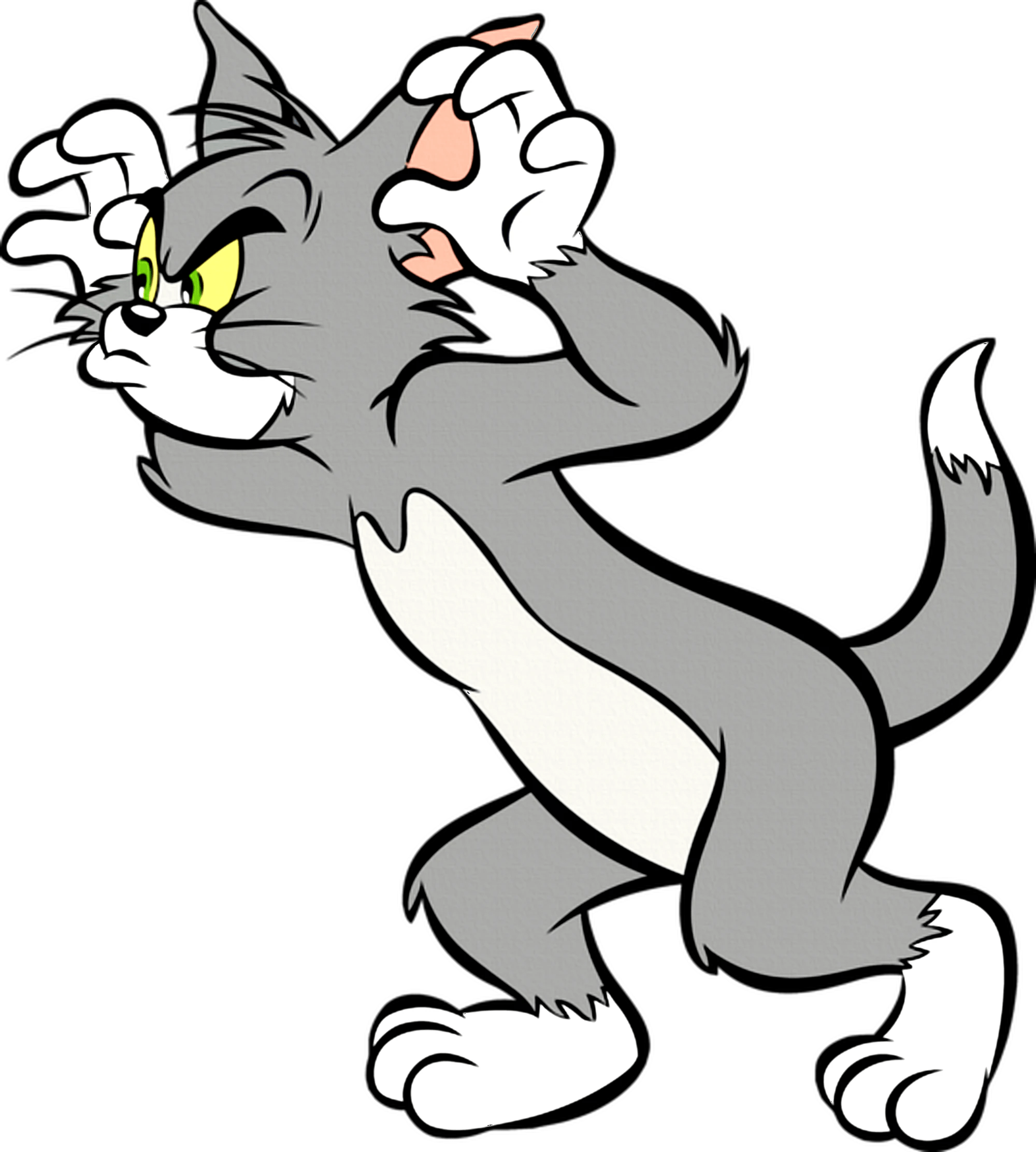 Tom the Cat Villains Wiki FANDOM powered by Wikia