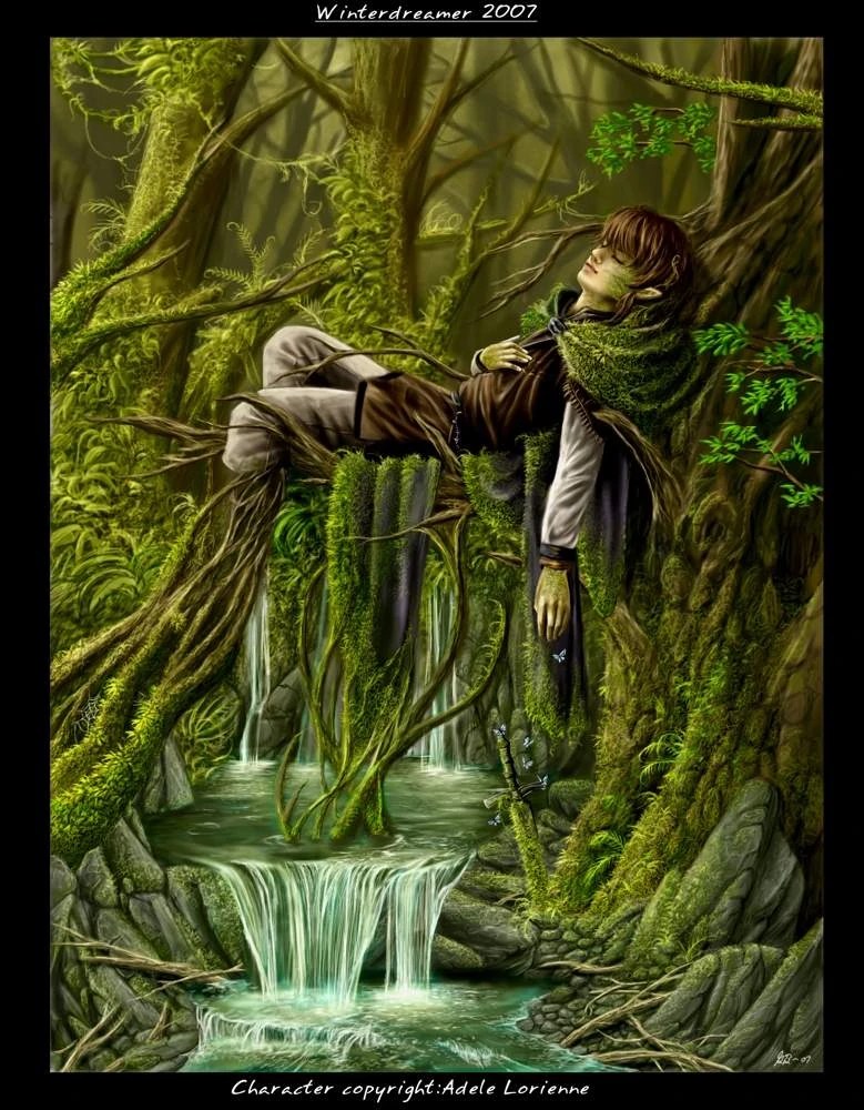 image elfe des bois - Shasta Crystals