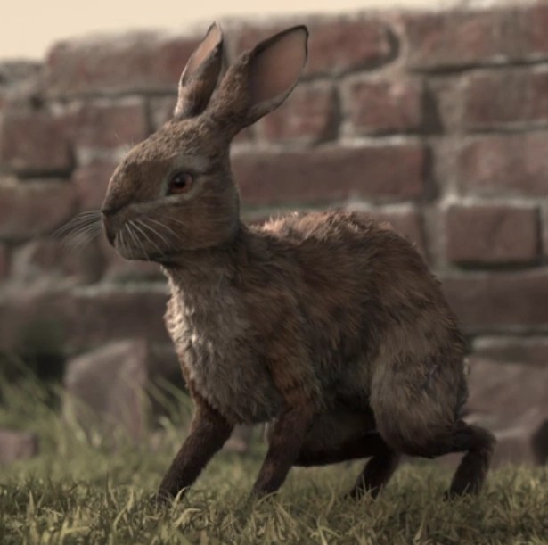 Thethuthinnang Watership Down Wiki Fandom