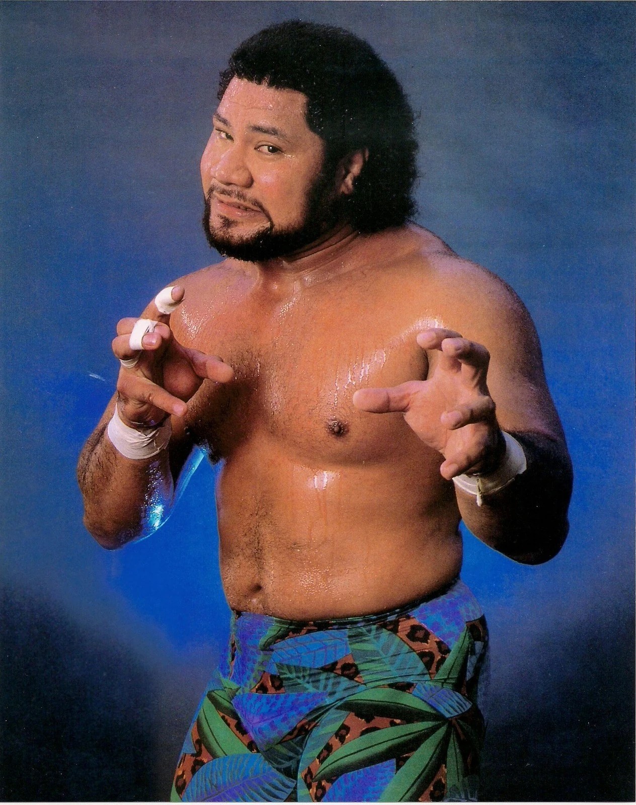 Haku WWE Wiki FANDOM powered by Wikia