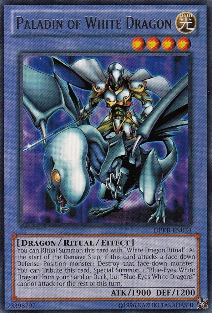 Paladin of White Dragon