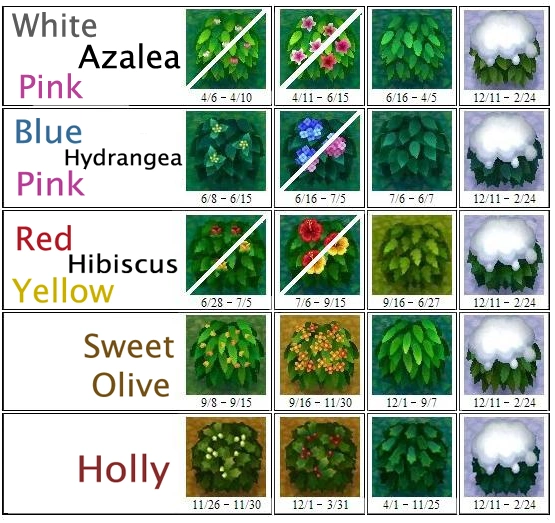 Bush Animal Crossing Wiki Fandom powered by Wikia