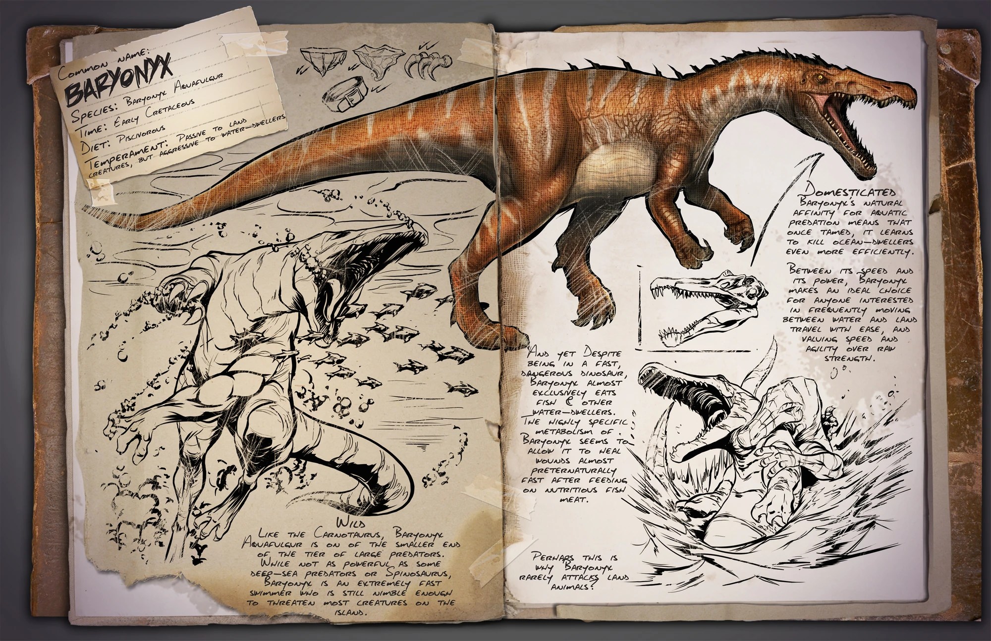 Baryonyx ARK Survival Evolved Wiki FANDOM powered by Wikia