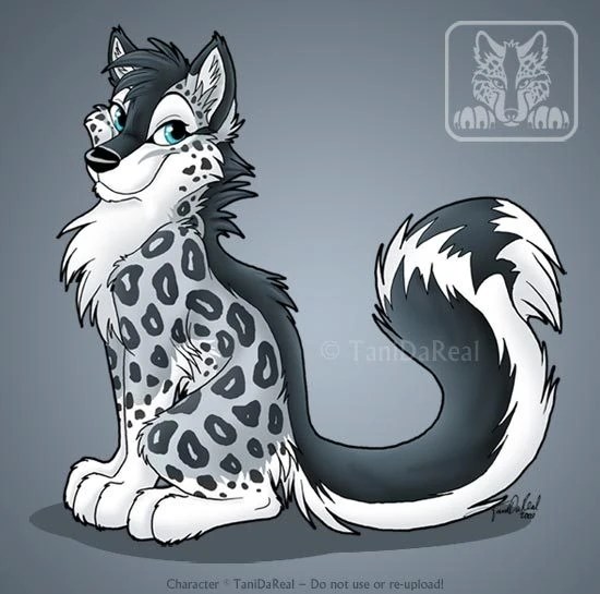 Image Schnolf Chibi by TaniDaReal.jpg Free Realms Warrior Cats Wiki