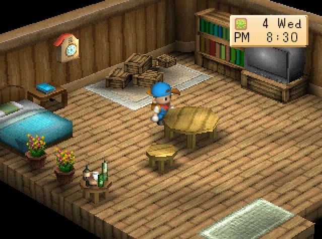 House (BTN) The Harvest Moon Wiki Fandom powered by Wikia