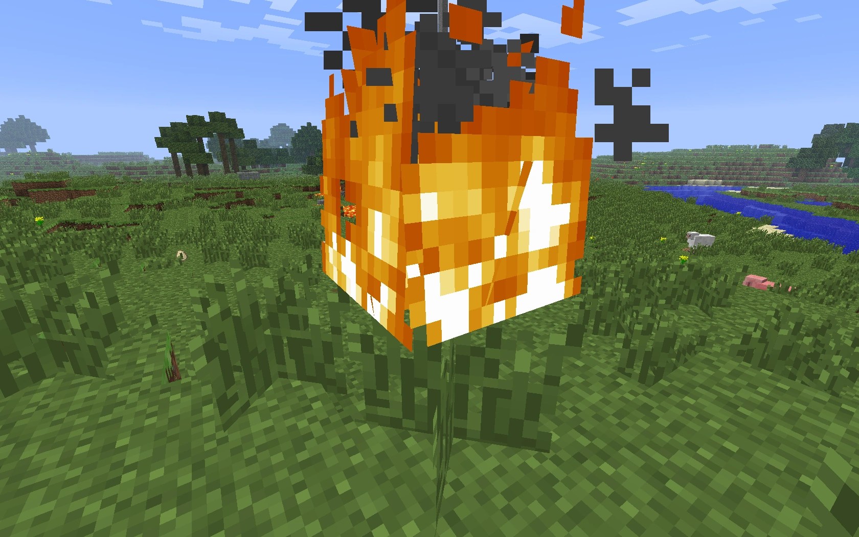 Fire | Minecraft Wiki | FANDOM powered by Wikia