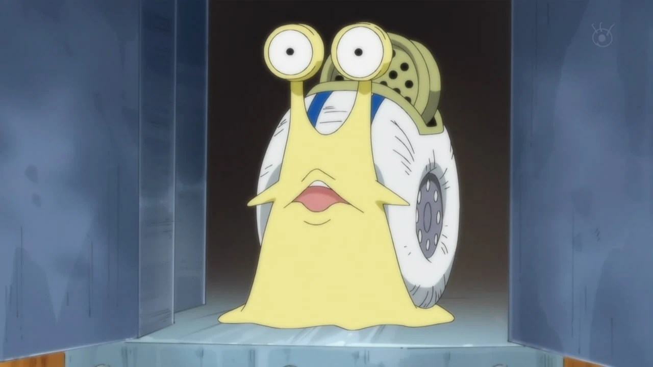 Transponder Snail One Piece x Fairy Tail Wiki FANDOM powered by Wikia
