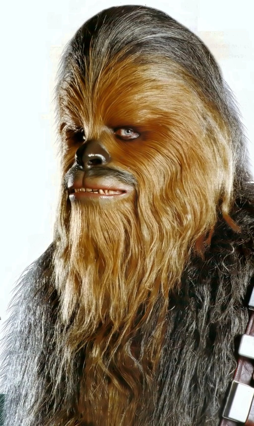 Hair Wookieepedia Fandom powered by Wikia