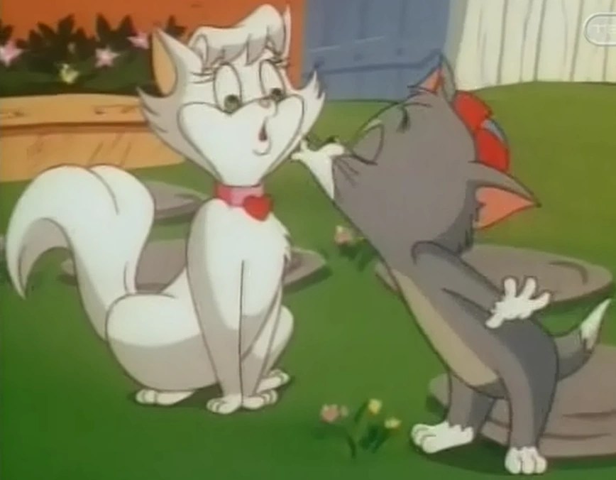 tom and jerry kids white tabby wiki