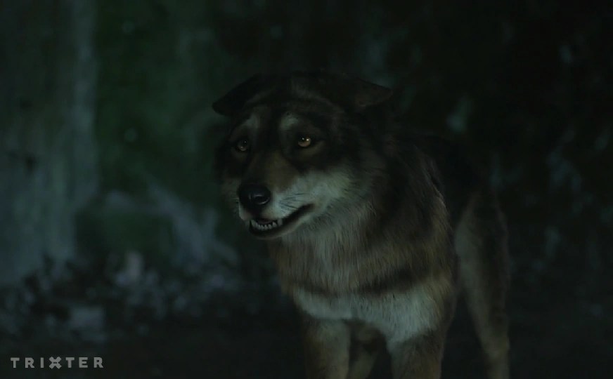 Wolf Forms / Gallery Wolfblood Wiki Fandom powered by Wikia