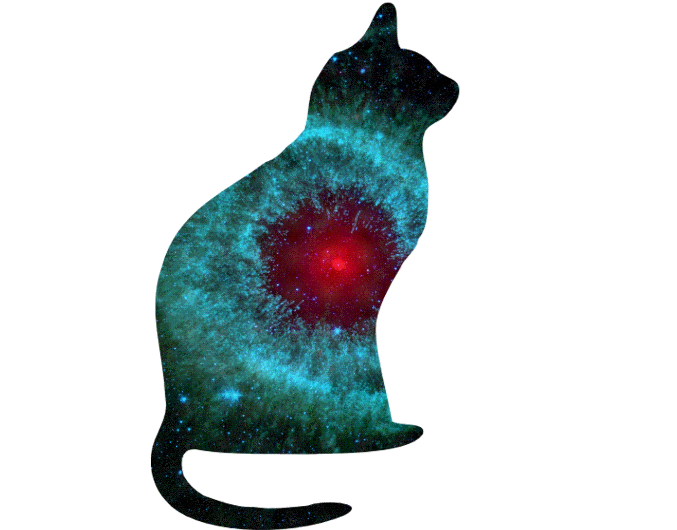 Image Catinspace.gif Animal Jam Clans Wiki FANDOM