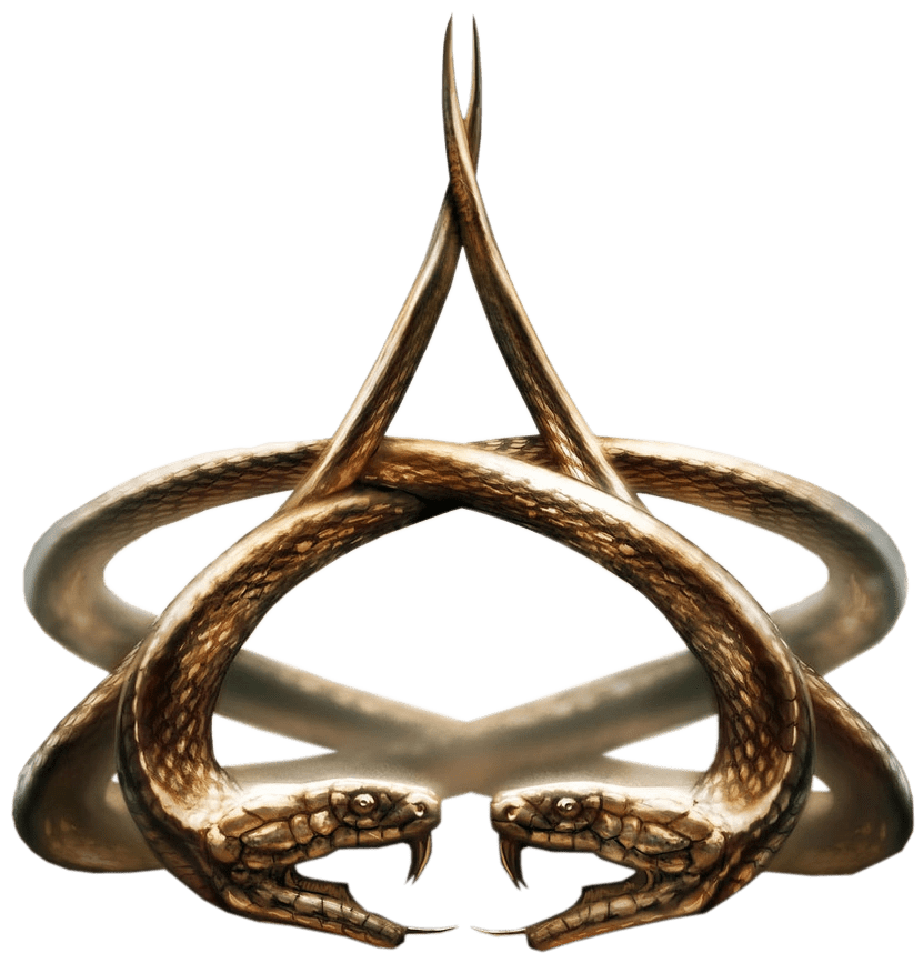 Indian Brotherhood of Assassins Assassin's Creed Wiki FANDOM