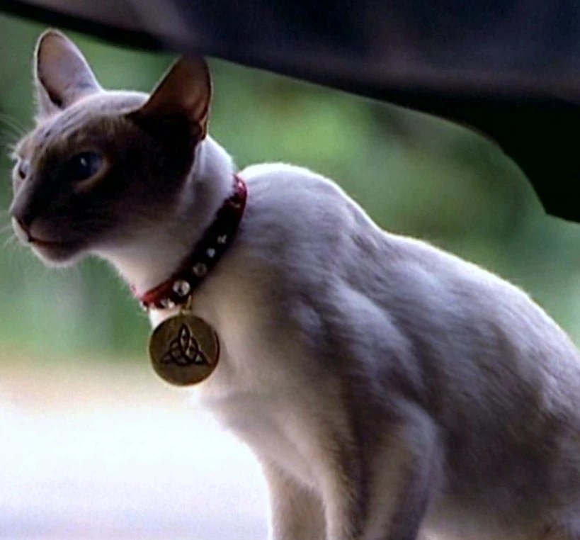 Kit Charmed FANDOM powered by Wikia