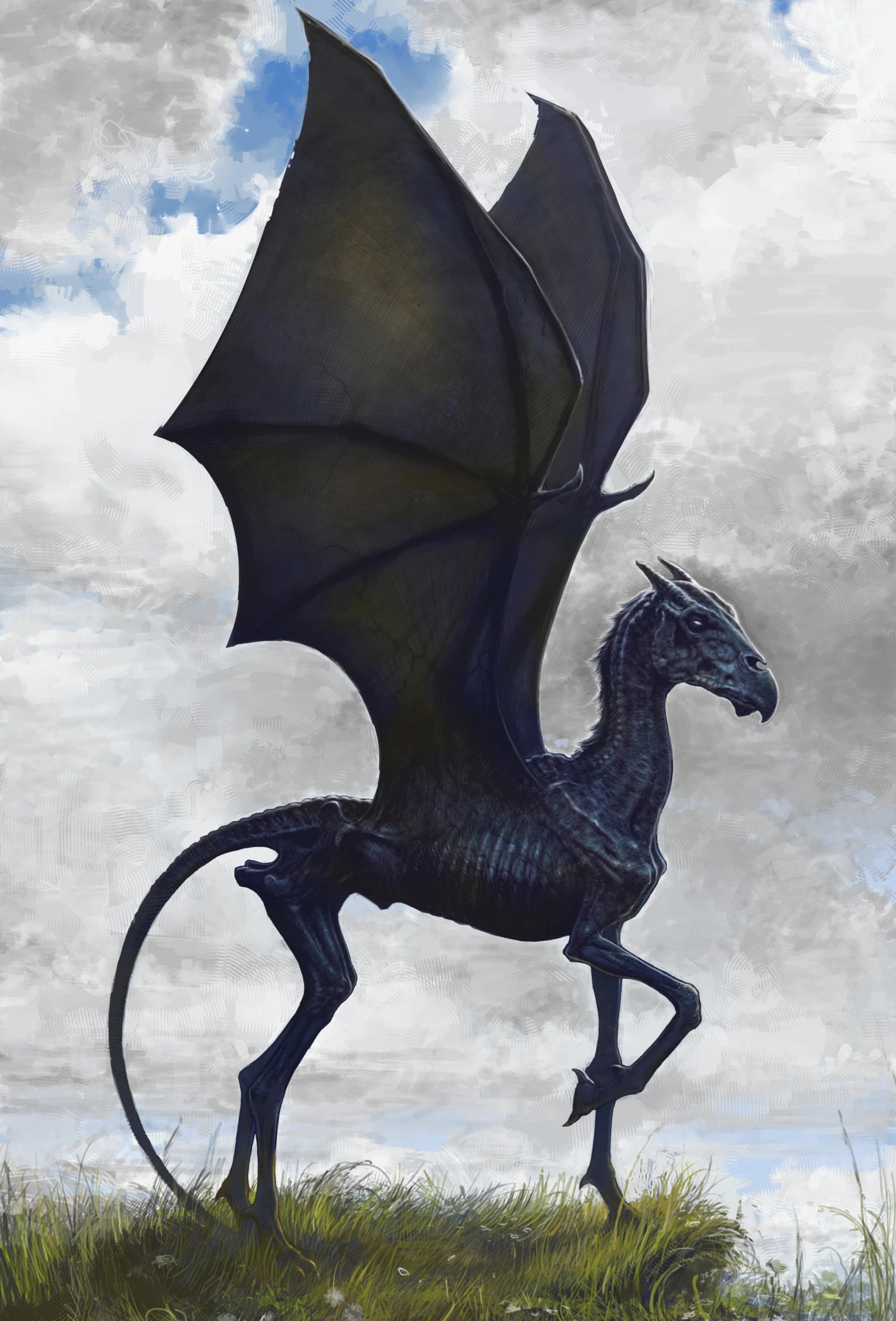 CategoryXXXX Creatures Harry Potter Wiki Fandom powered by Wikia