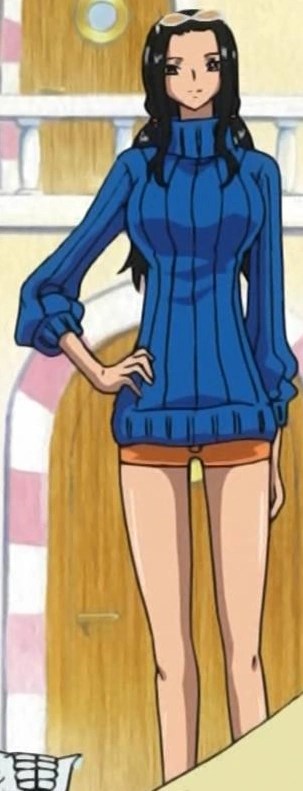 one piece robin body pillow | Pita Bloom