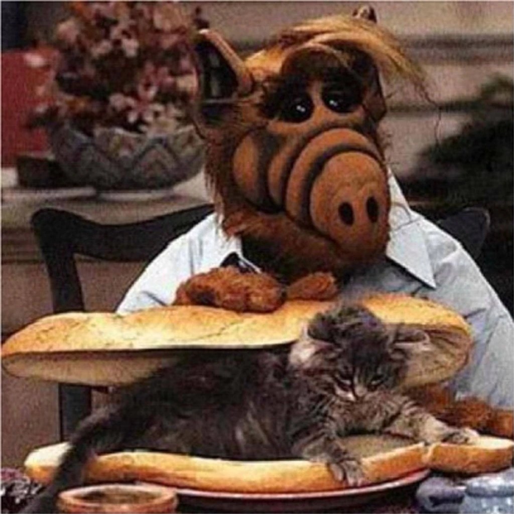 ALF The Flop House Wiki FANDOM powered by Wikia
