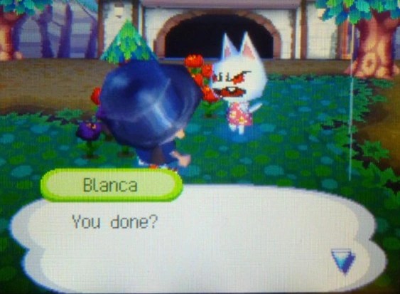 Image Blanca WW Face Complete Angry.png Animal Crossing Wiki FANDOM powered by Wikia