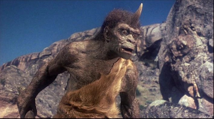 troglodyte définition C',est quoi