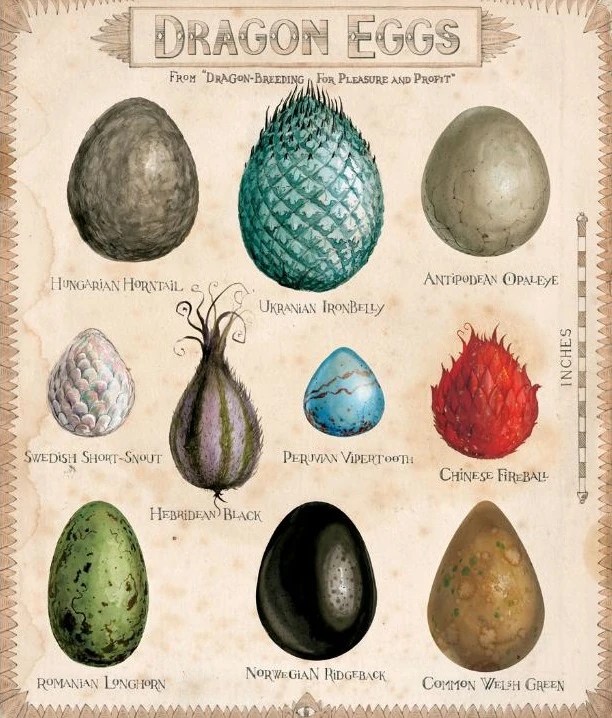 Dragon Lessons Blendspace