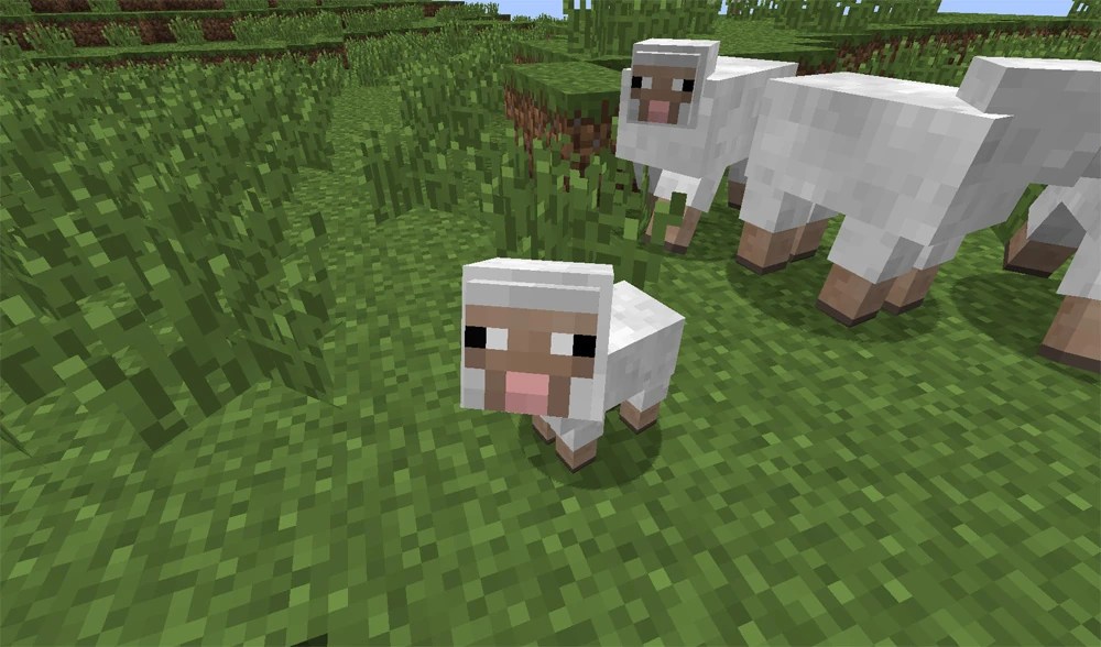 Sheep/Gallery Minecraft Wiki Fandom powered by Wikia