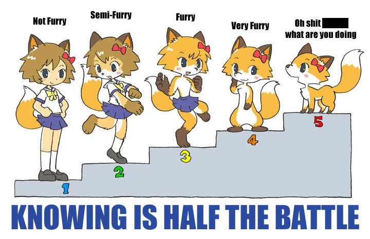Image Furry chart.jpg Monster Girl Encyclopedia Wiki FANDOM