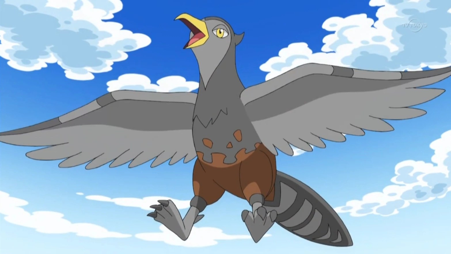 Ash's Unfezant Pokémon Wiki FANDOM powered by Wikia