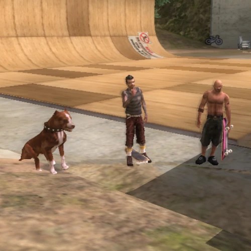 Page 3 of the full game walkthrough for tony hawk's american wasteland. Tony Hawk American Wasteland Mindy - American Wasteland Characters | Tony Hawk's Games Wiki ...