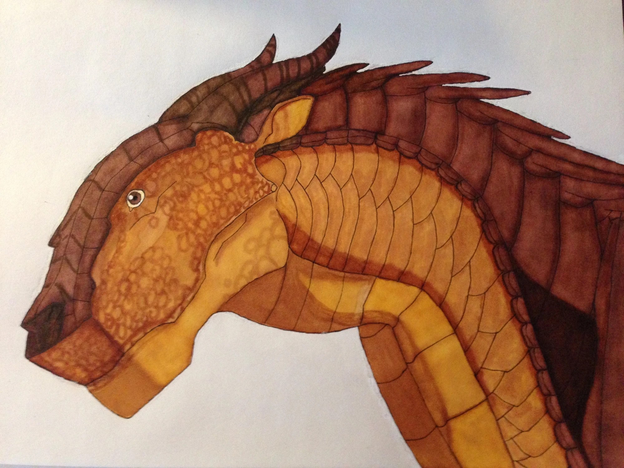 Image Image1.jpeg Wings of Fire Wiki FANDOM powered by Wikia