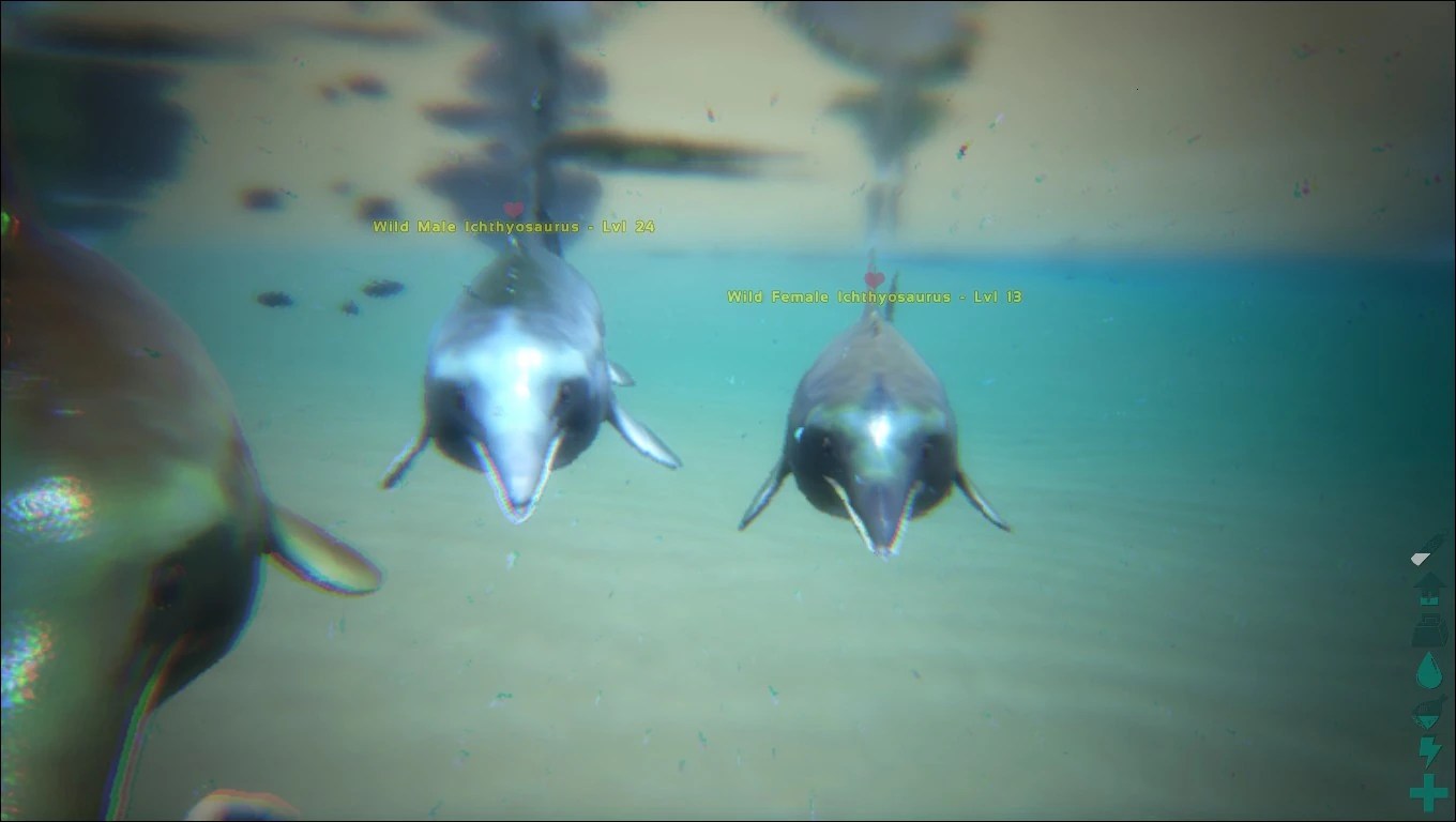 Image ARKIchthyosaurus Screenshot 001.jpg ARK Survival Evolved Wiki Fandom powered by Wikia