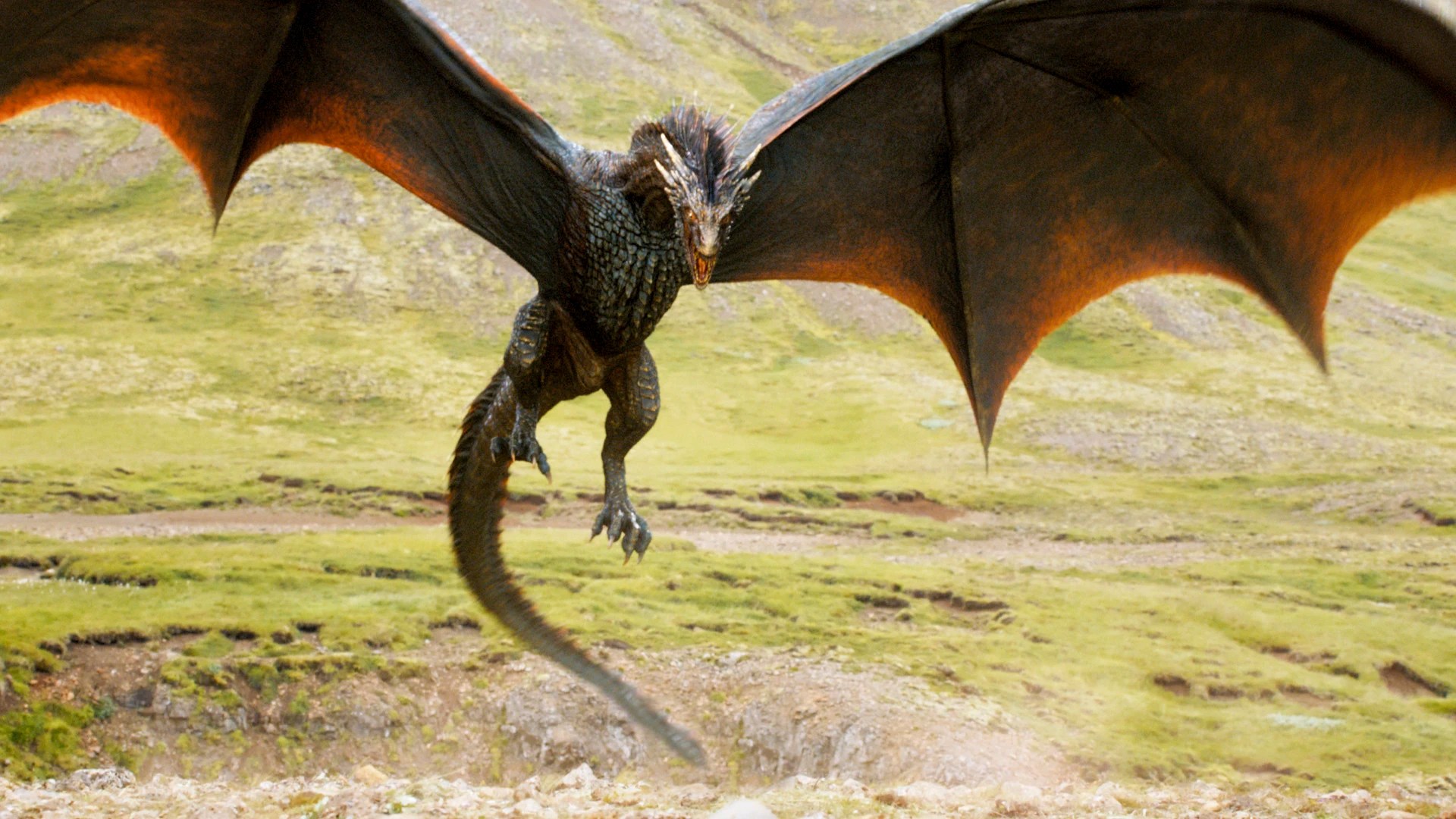 CategoryDragons Game of Thrones Wiki FANDOM powered by Wikia