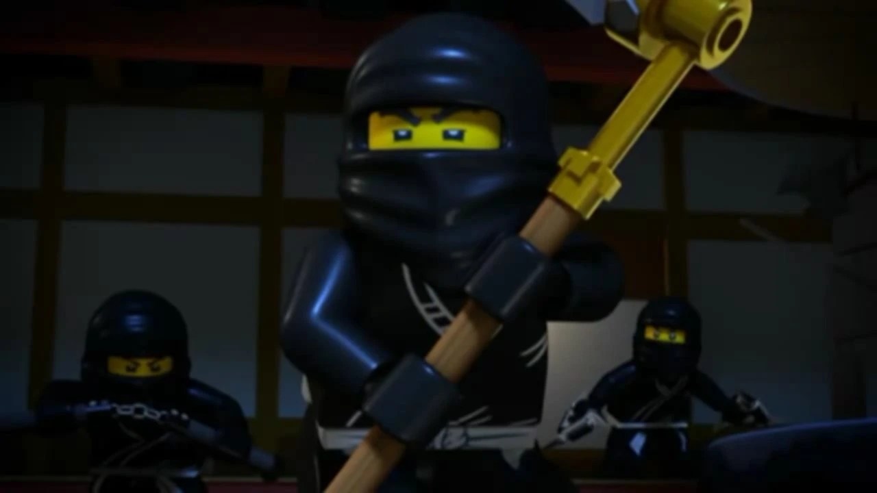 Types of Ninja Ninjago Wiki FANDOM powered by Wikia