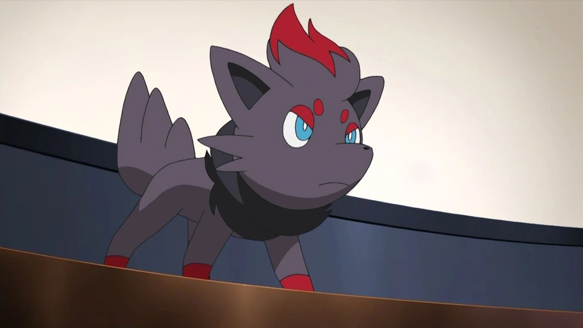 Luke's Zorua Pokémon Wiki Fandom powered by Wikia
