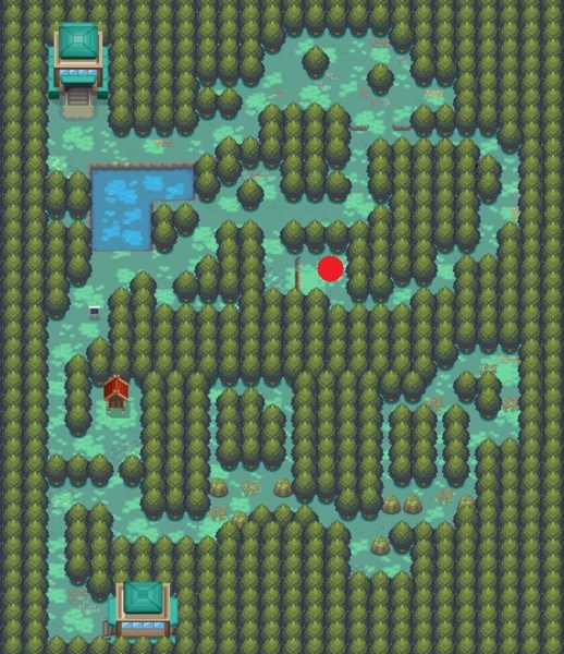 CategoryForests Pokémon Wiki FANDOM powered by Wikia