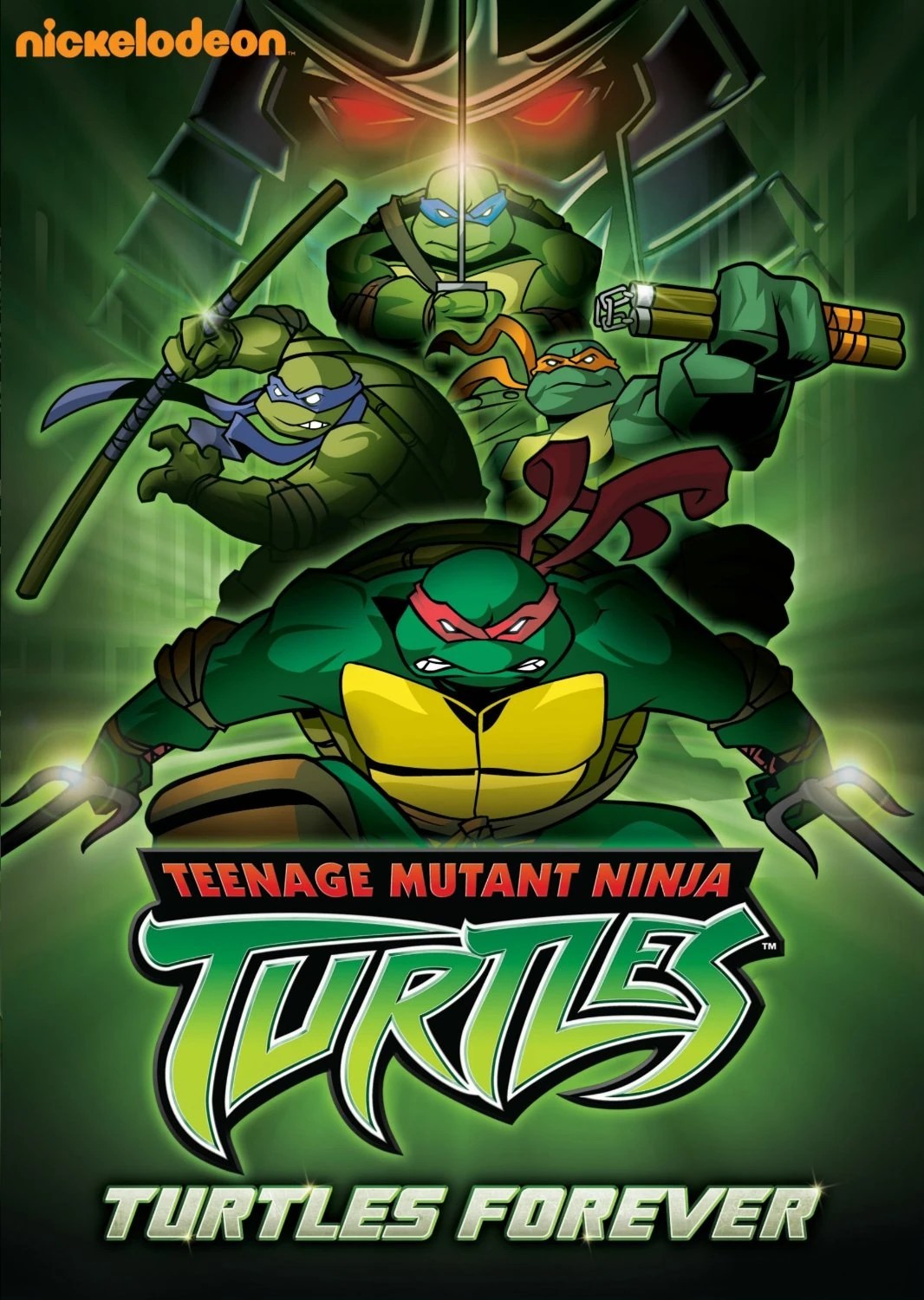 Teenage Mutant Ninja Turtles (2003 TV series) video releases