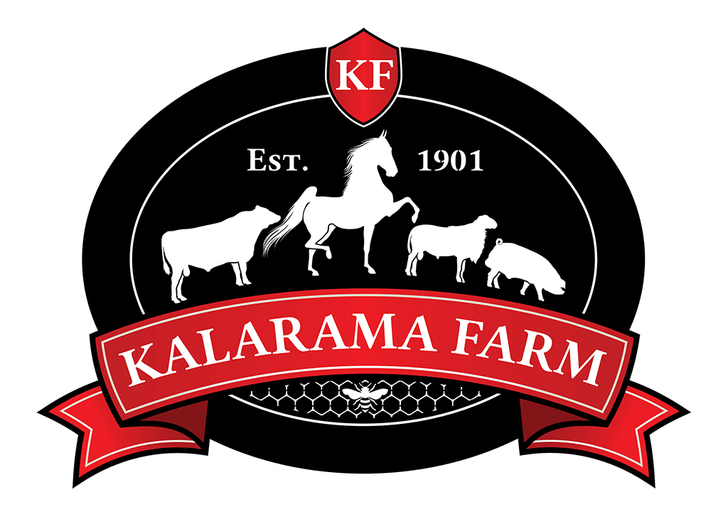 VigorFoods Inc. Launches Premium Meat Sales VigorFoods Inc.