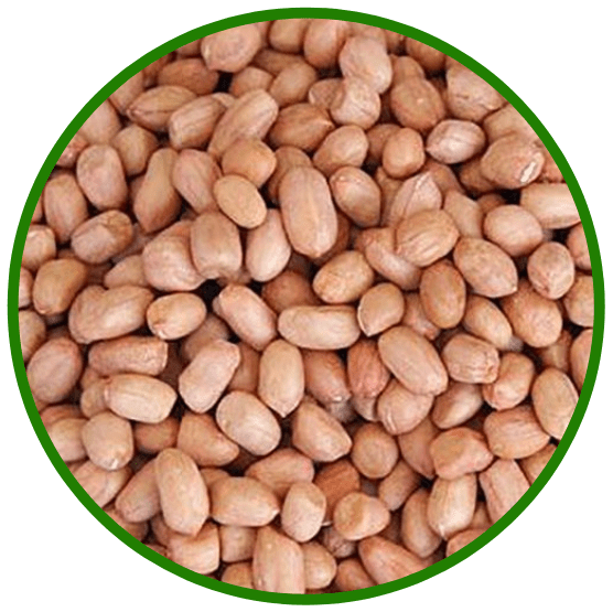 Peanuts Groundnut Viji Foods