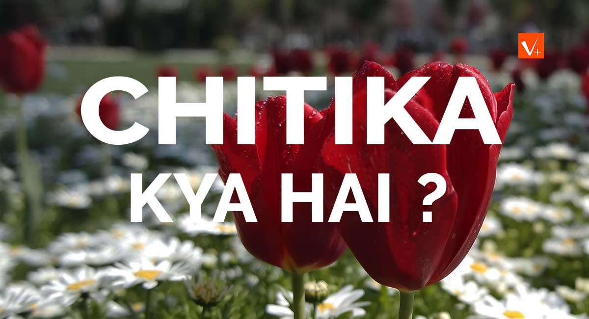 Chitika kya hai aur isse paise kaise kamate hai ? in Hindi Vikas Plus