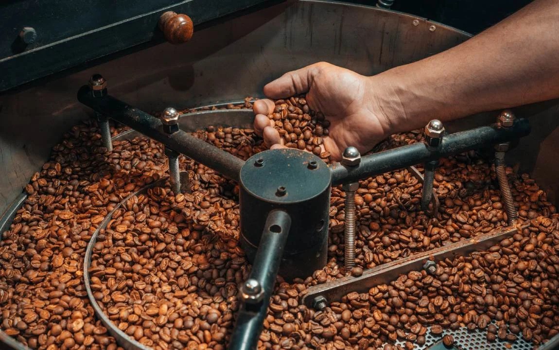 Coffee roasting From kernels to coffee beans Viking Roast