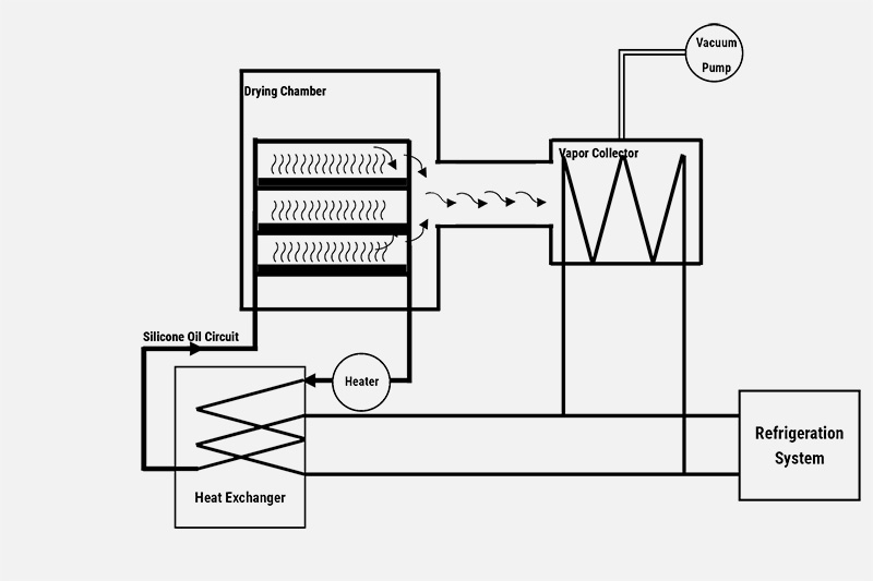 Freeze Drying Theory Vikumer Freeze Dry