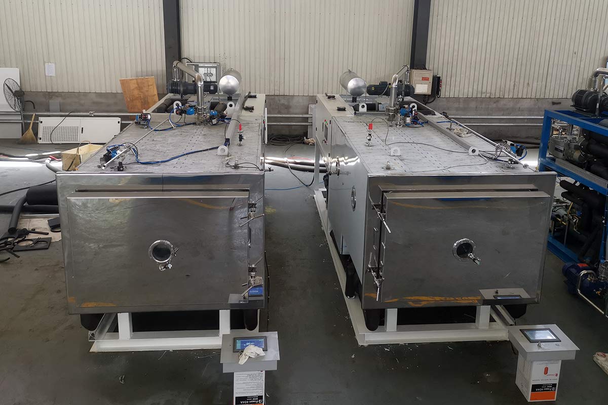 FD10L Industrial Freeze Dryer For Drying Pharmaceutical and Biological