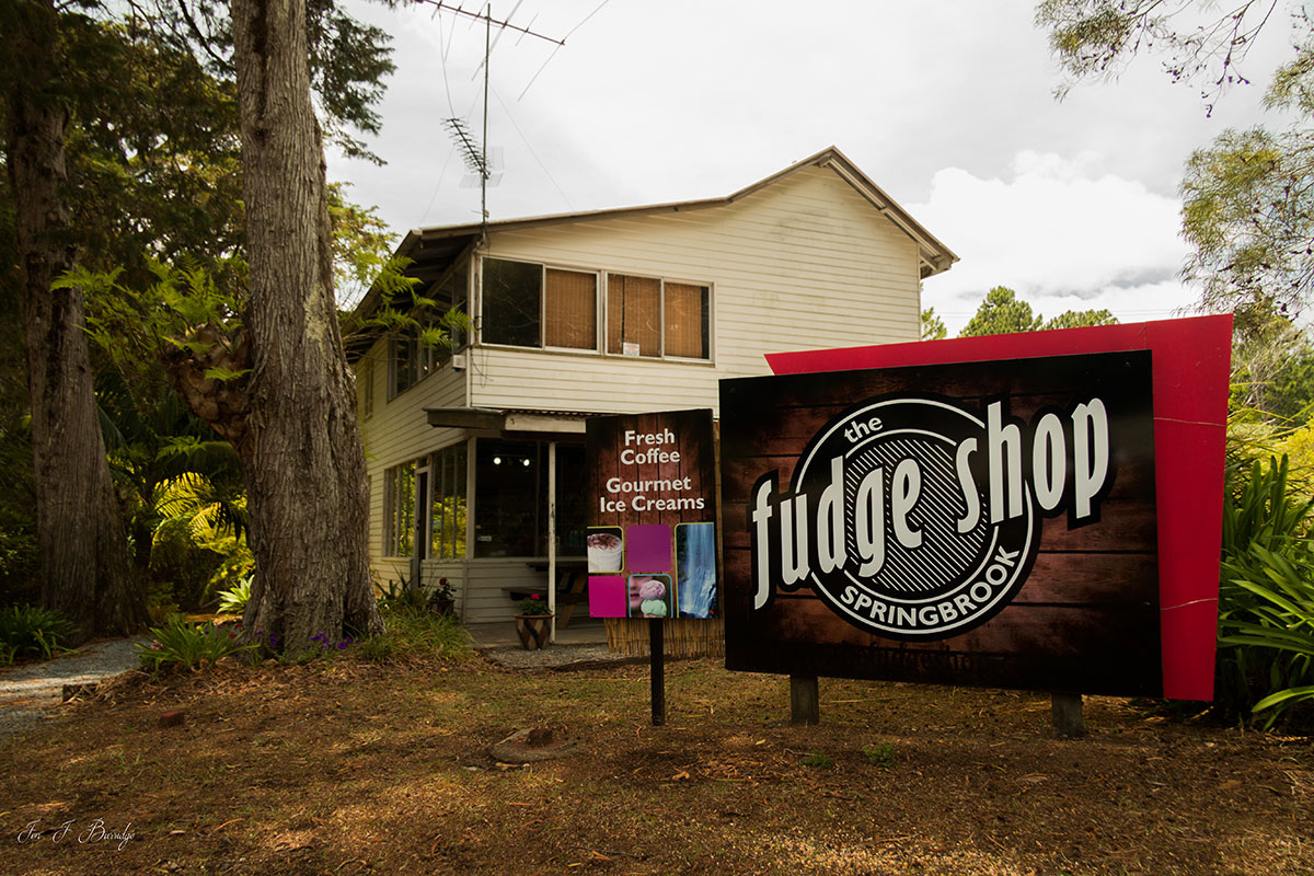 Springbrook Nemzeti Park Világutazó